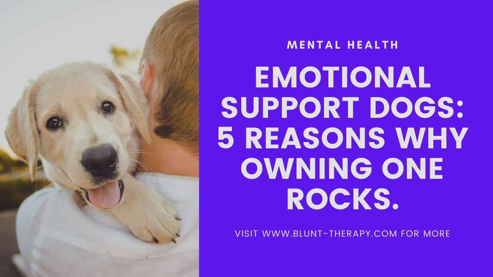 emotional support animal featured image