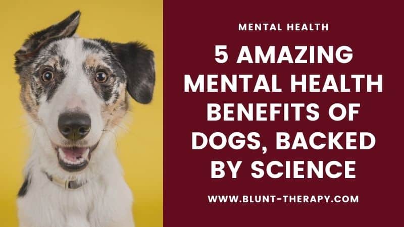 5 Amazing Mental Health Benefits of Dogs, Backed By Science