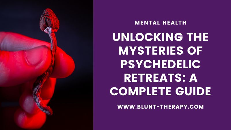 Unlocking the Mysteries of Psychedelic Retreats: A Complete Guide