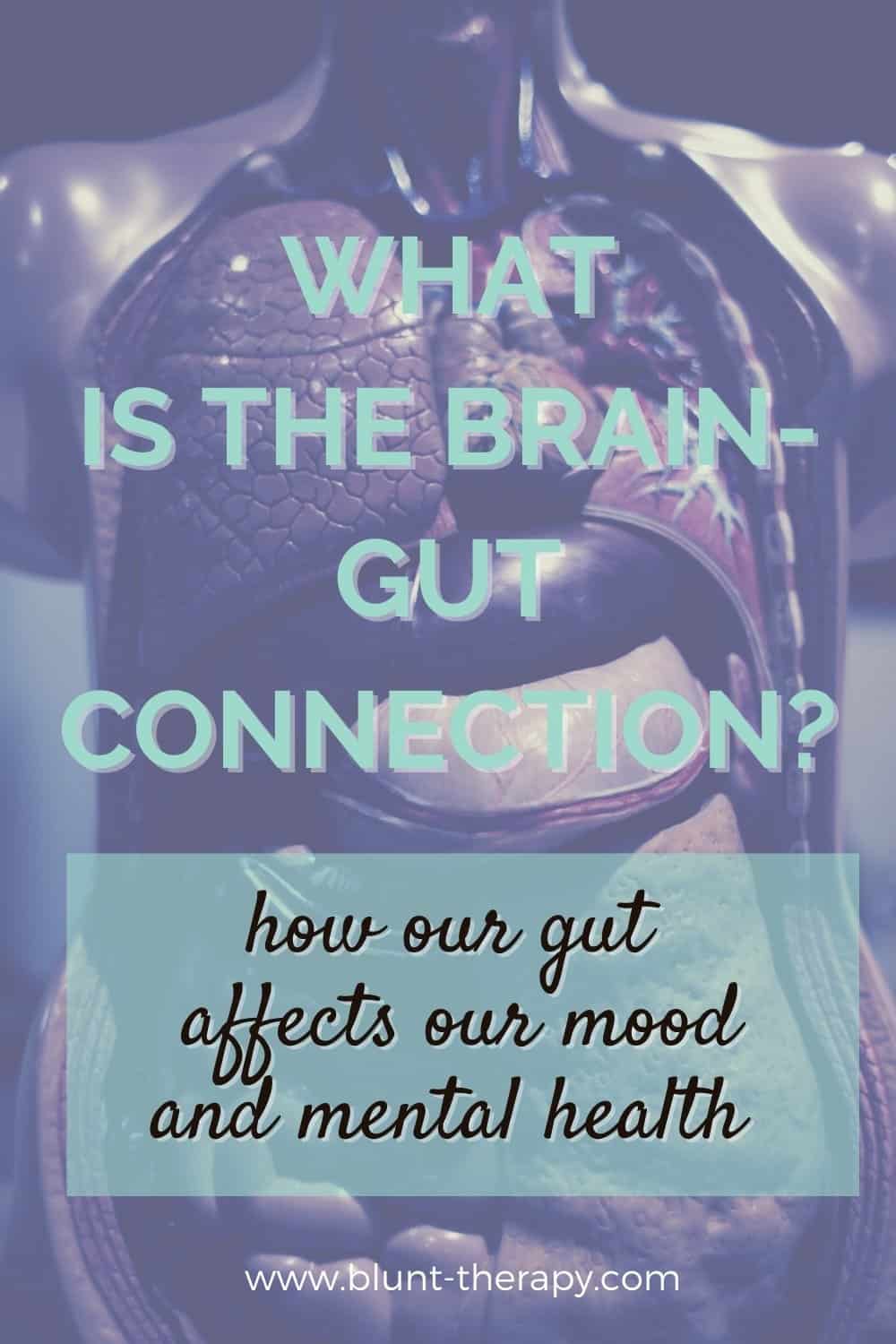 What Is The Brain-Gut Connection?